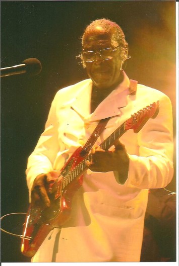 Piano C. Red, Chicago Blues Festival, 2009. Photo By Keith Clements